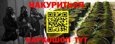 ГАЛЛЮЦИНОГЕННЫЕ ГРИБЫ Гатчина