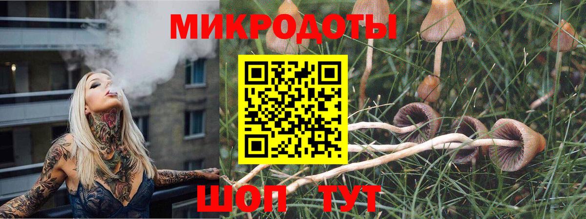 Губаха  Галлюциногенные грибы прущие грибы  Вход с VPN 